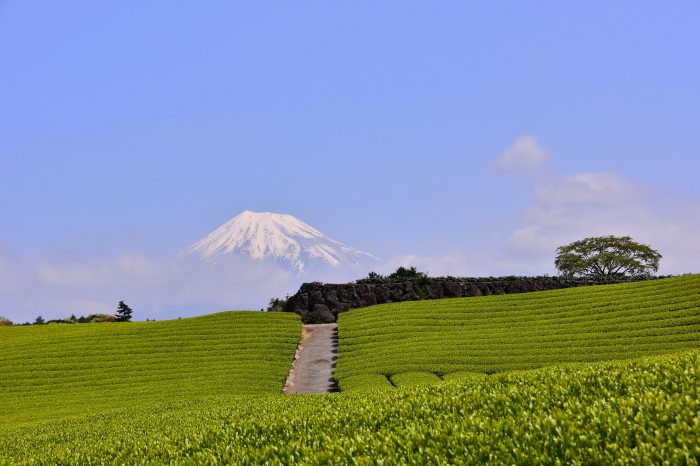 a0307264_12022729.jpg