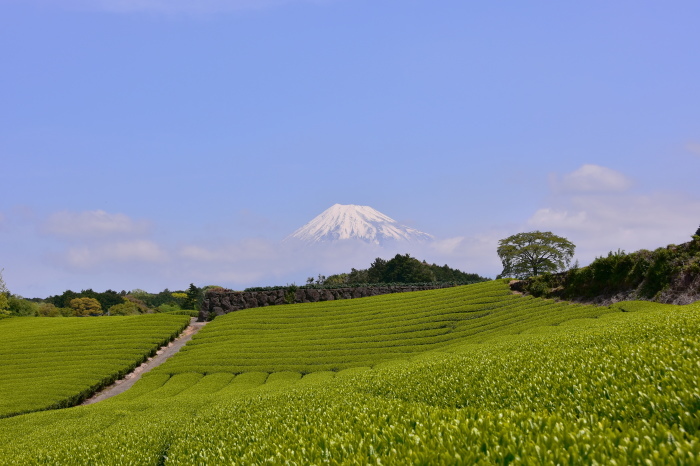 a0307264_12042815.jpg