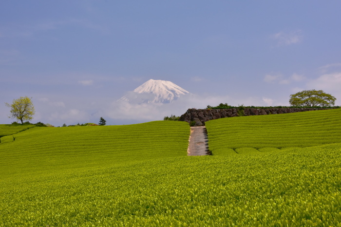 a0307264_12083525.jpg