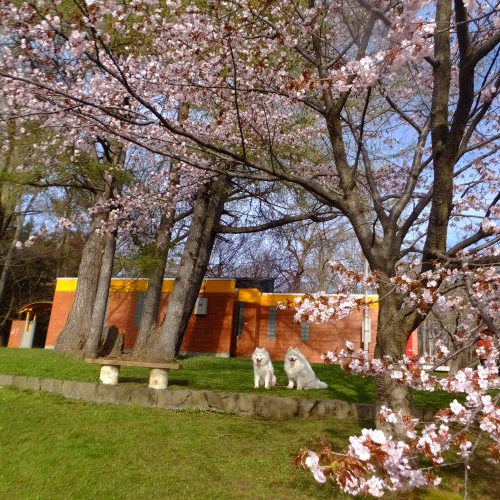 b0102267_07251497.jpg