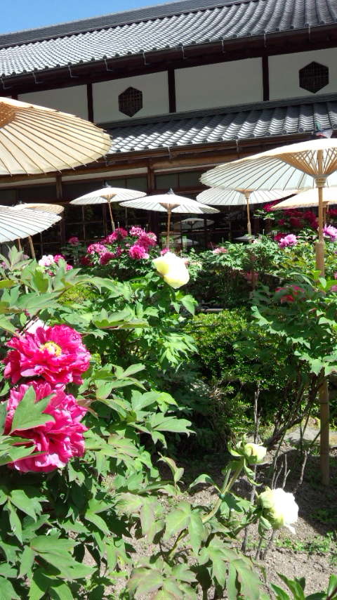 b0018469_11451768.jpg