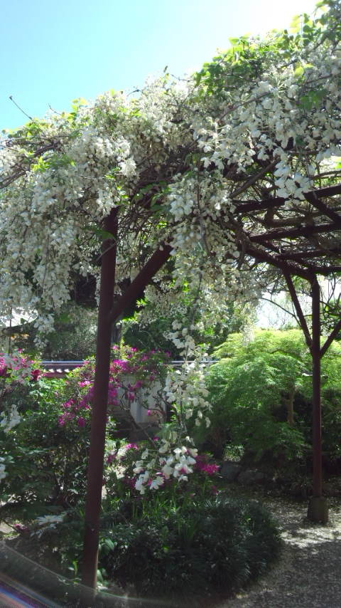 b0018469_11452929.jpg