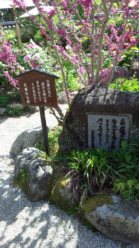 b0018469_11453867.jpg