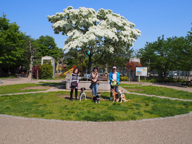 b0246876_21144992.jpg