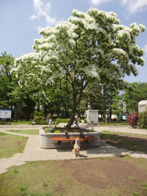 b0246876_21374200.jpg