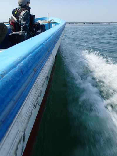 c0197578_19300799.jpg
