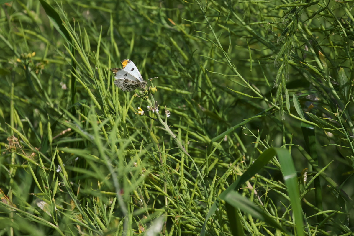 a0083081_18112559.jpg