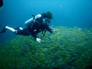 f0144385_21540413.jpg
