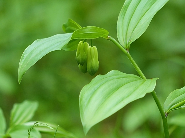 f0357487_22082442.jpg