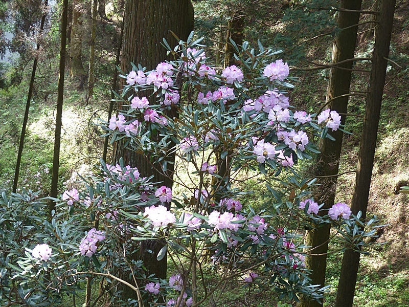 f0357487_22475982.jpg