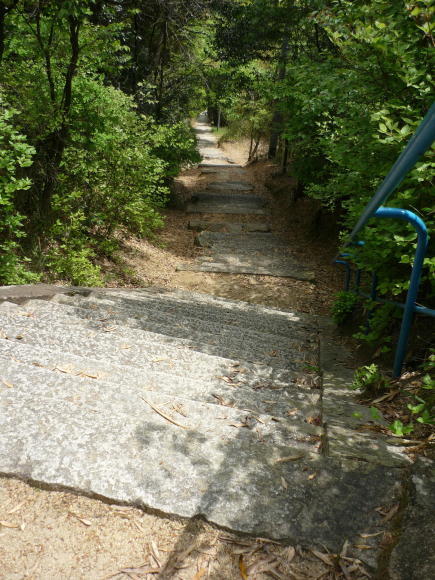 f0230888_19365715.jpg