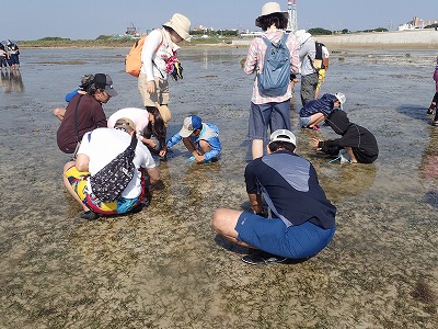 f0338188_2104252.jpg