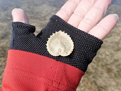 f0338188_223710.jpg