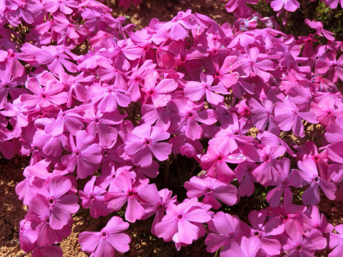 c0139090_00260017.jpg