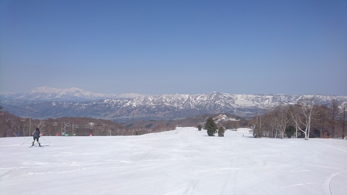 e0015490_853482.jpg