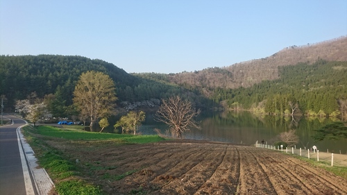 e0015490_9135979.jpg