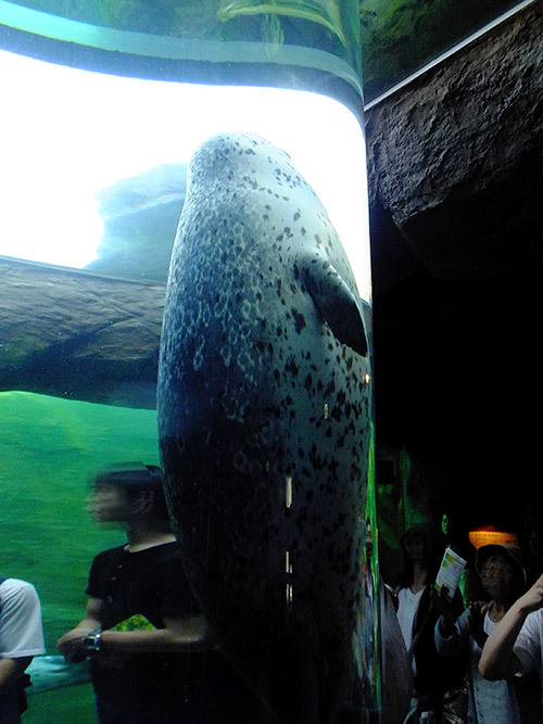 c0001491_01011185.jpg