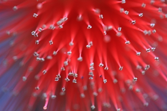 a0222494_10232425.jpg