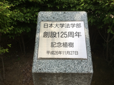 f0042295_16471296.jpg