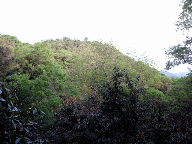 f0325295_09185007.jpg