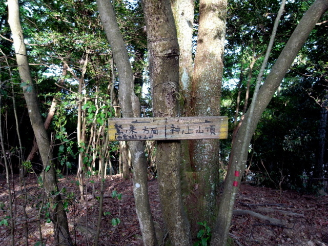 f0325295_09190500.jpg