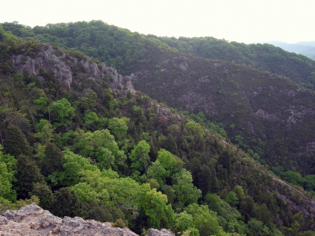 f0325295_10101132.jpg