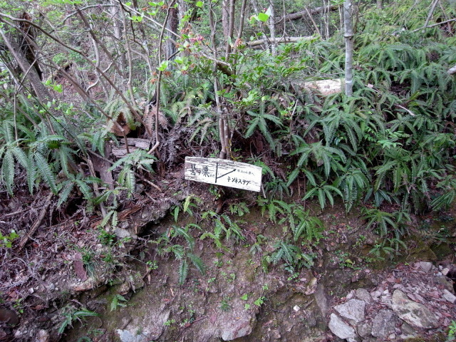 f0325295_10191261.jpg