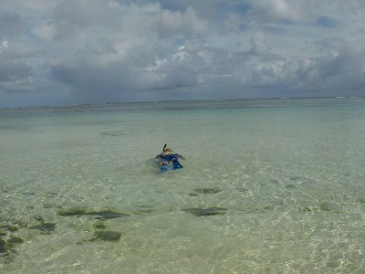 d0074596_1065414.jpg