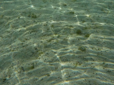 d0074596_1071160.jpg