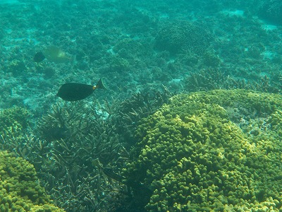 d0074596_1073825.jpg