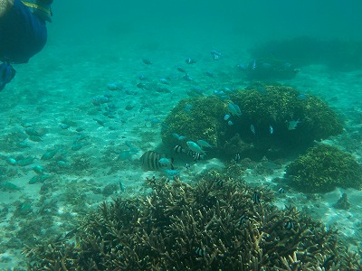 d0074596_1083016.jpg