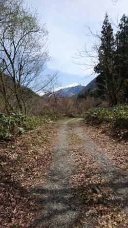 a0104199_00372206.jpg