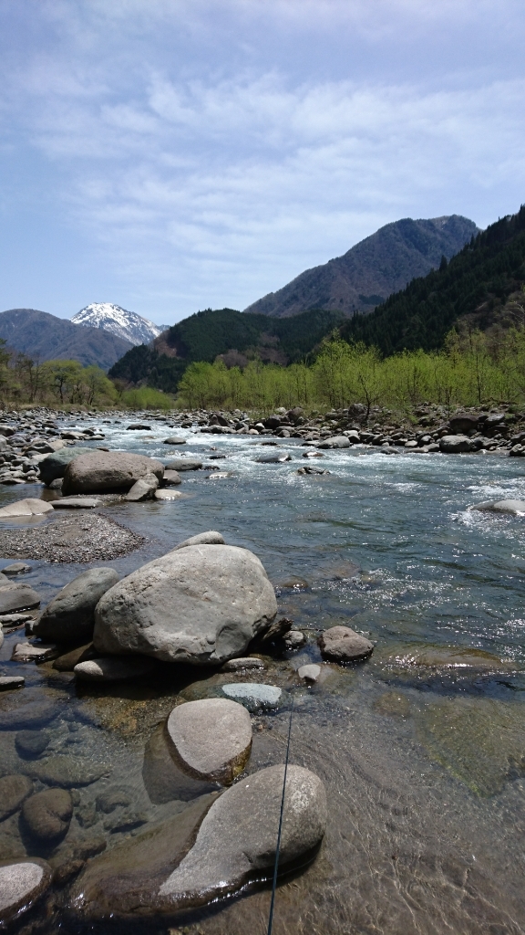a0104199_00372450.jpg