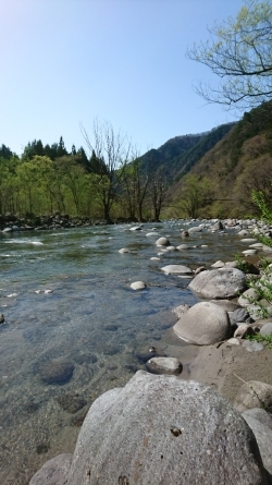 a0104199_00372880.jpg