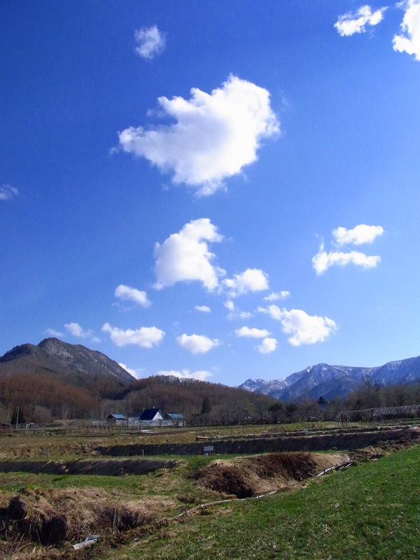 f0157901_844196.jpg