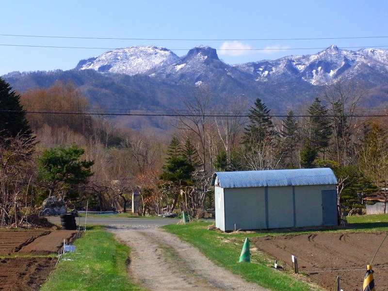 f0157901_847767.jpg