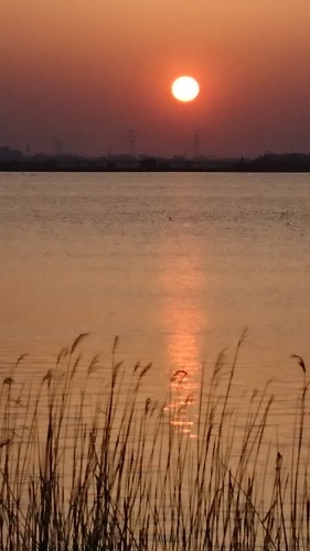 f0235708_21580391.jpg