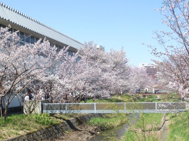 b0198109_22414211.jpg