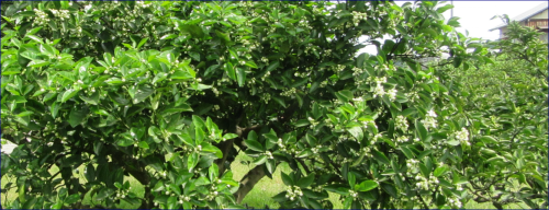 f0231709_20091281.png