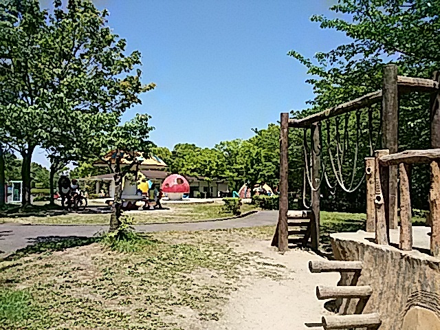 f0231709_22373375.jpg