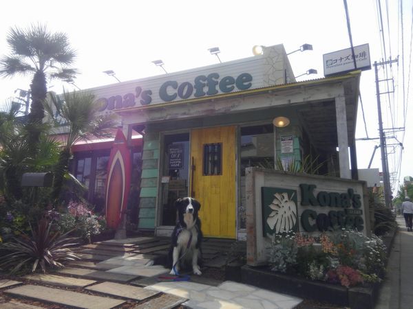 d0224111_09394630.jpg