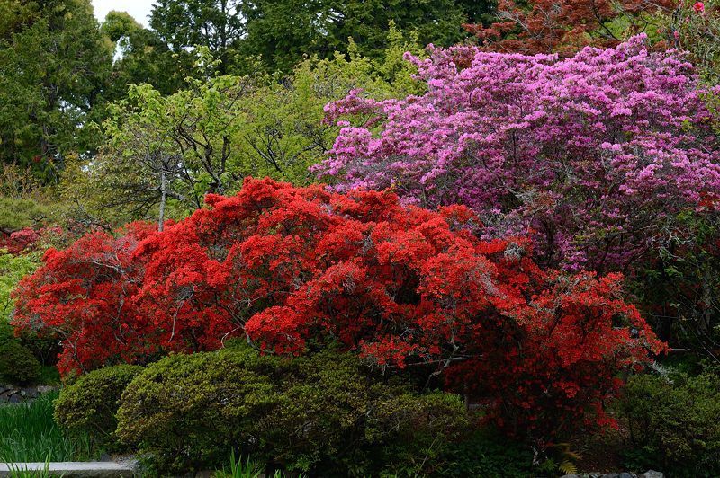 f0032011_15444958.jpg