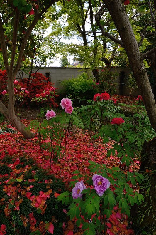f0032011_15445045.jpg
