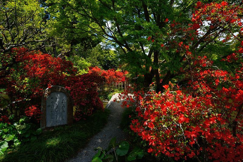 f0032011_15523484.jpg