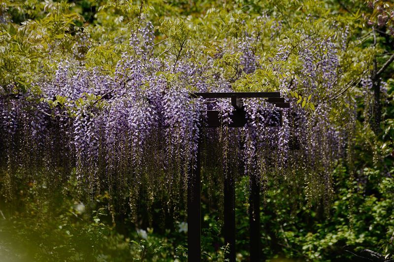 f0032011_16160415.jpg
