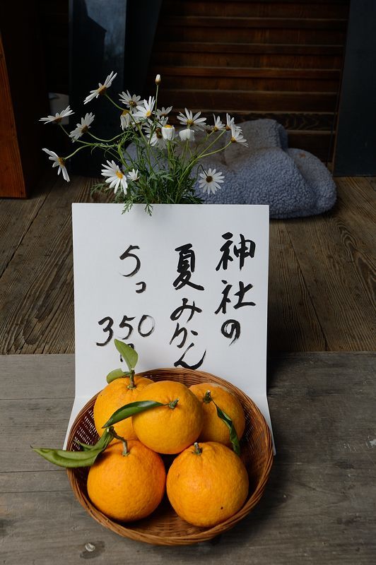 f0032011_16160565.jpg