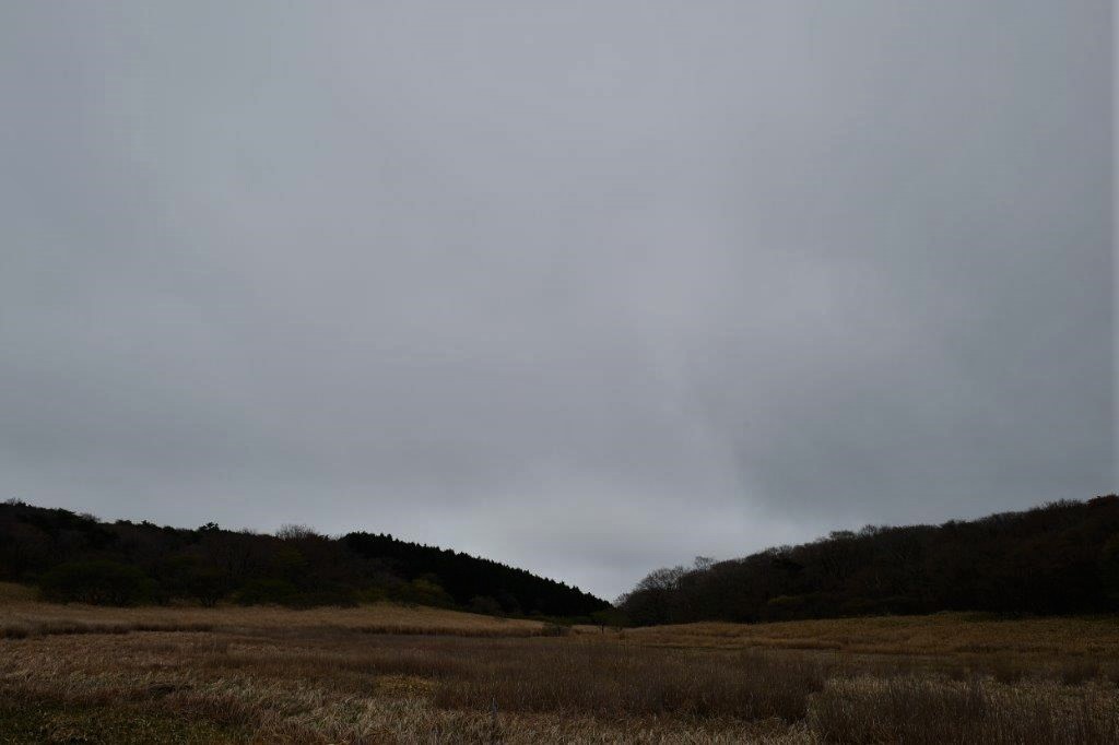 f0365212_23033905.jpg
