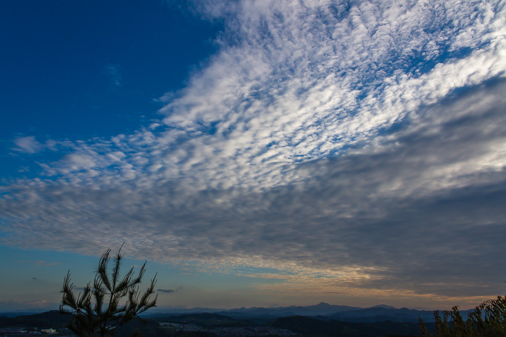 b0010915_21355264.jpg