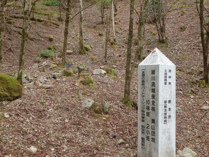 f0193521_16143792.jpg