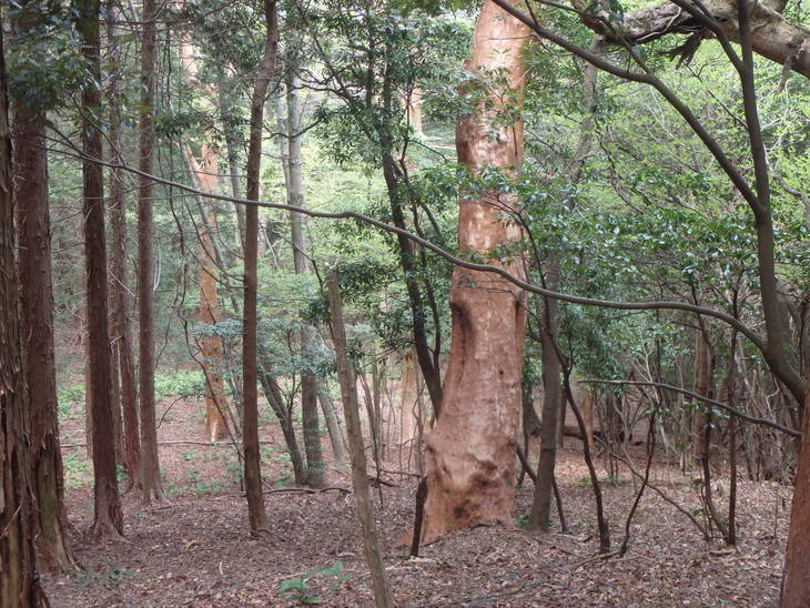 f0193521_1628758.jpg